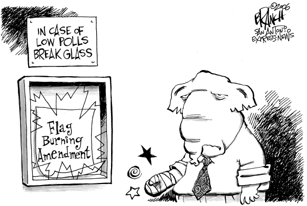 Editorial Cartoon by John Branch, San Antonio Express-News on Flag Amendment Defeat Adds to Controversy