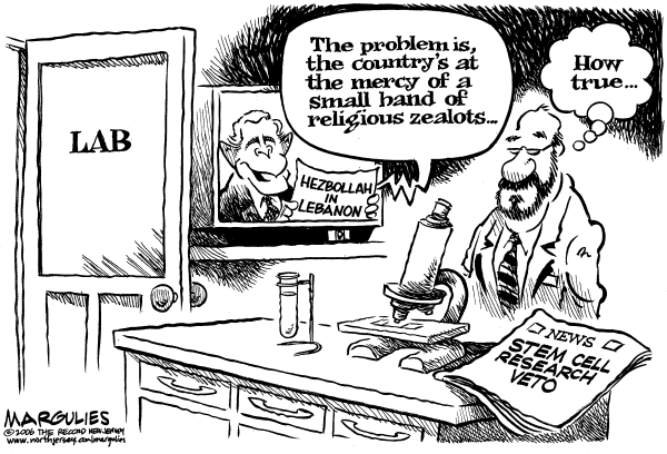 Editorial Cartoon by Jimmy Margulies, The Record, New Jersey on Bush Vetoes Stem Cell Bill