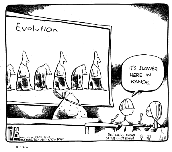 Editorial Cartoon by Tom Toles, Washington Post on In Other News