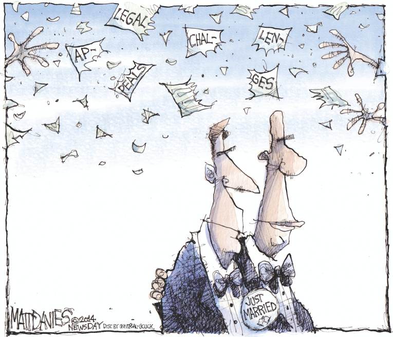 Political/Editorial Cartoon by Matt Davies, Journal News on Big Victory For Gay Marriage
