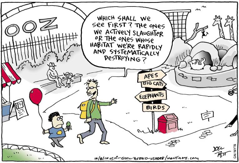 Political/Editorial Cartoon by Joel Pett, Lexington Herald-Leader, CWS/CartoonArts Intl. on In Other News