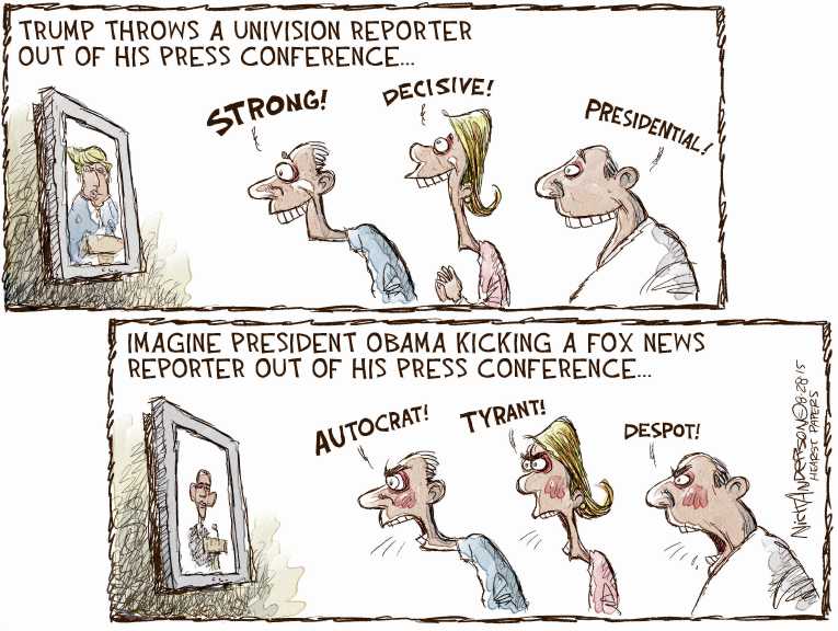 Political/Editorial Cartoon by Nick Anderson, Houston Chronicle on Trump Strikes Chord