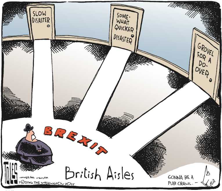 Political/Editorial Cartoon by Tom Toles, Washington Post on Next Steps Uncertain