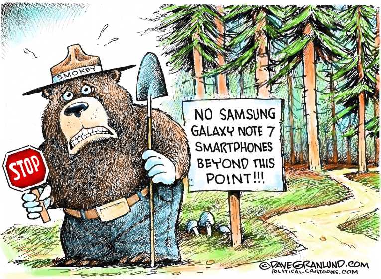 Political/Editorial Cartoon by Dave Granlund on In Other News