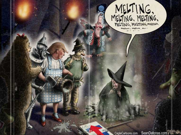 Political/Editorial Cartoon by Sean Delonas, CagleCartoons.com on Hillary Wins Popular Vote