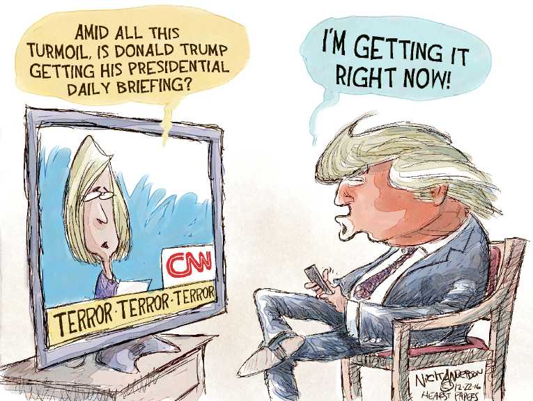 Political/Editorial Cartoon by Nick Anderson, Houston Chronicle on Trump Putting Pieces in Place