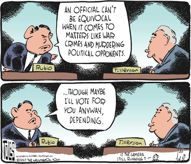 Political/Editorial Cartoon by Tom Toles, Washington Post on Cabinet Picks Face Tough Hearings