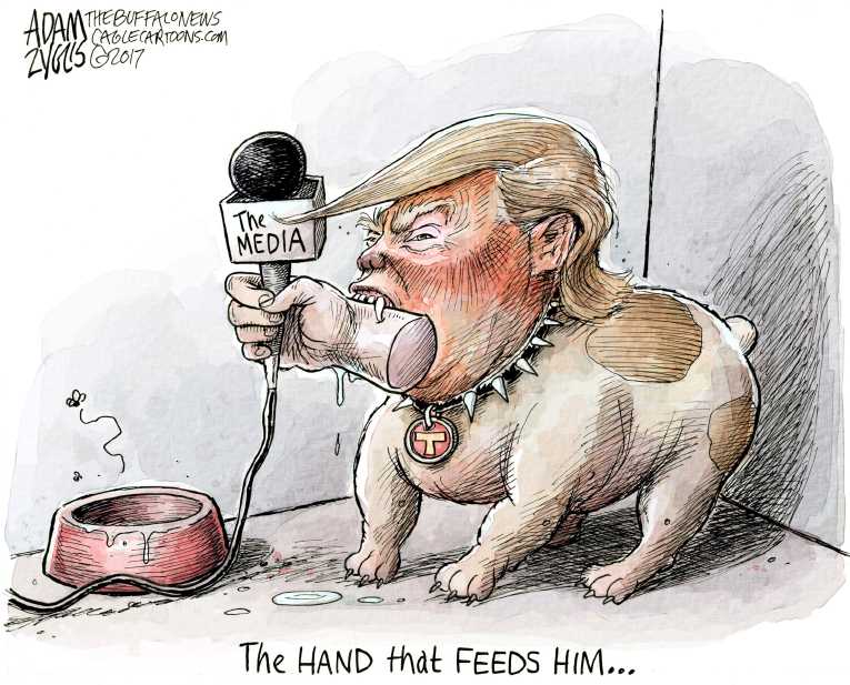 Political/Editorial Cartoon by Adam Zyglis, The Buffalo News on Fake News Under Fire