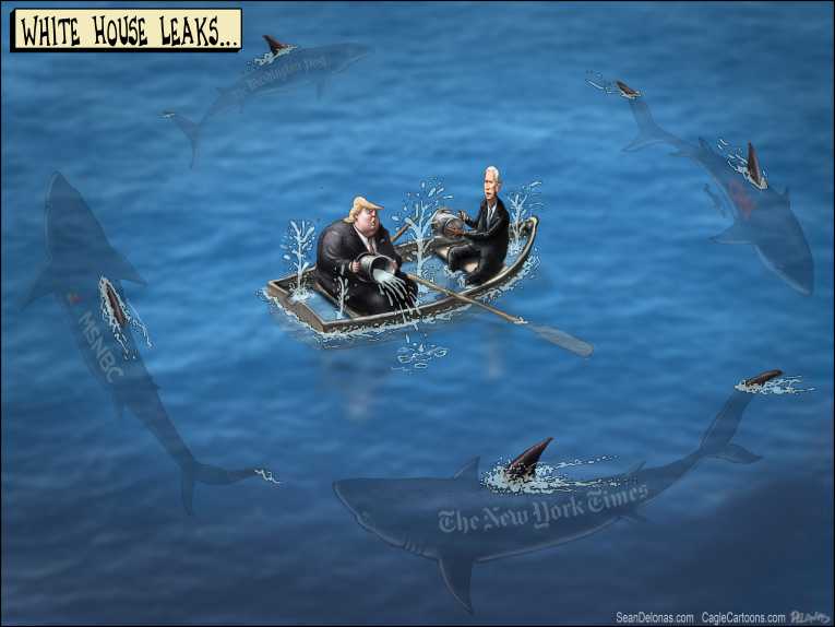 Political/Editorial Cartoon by Sean Delonas, CagleCartoons.com on Investigations Proceed