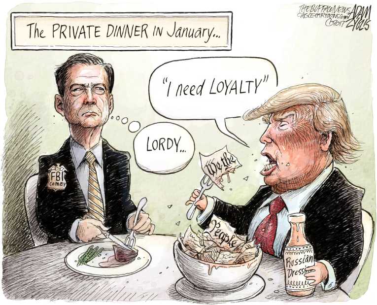 Political/Editorial Cartoon by Adam Zyglis, The Buffalo News on Investigations Slam DC