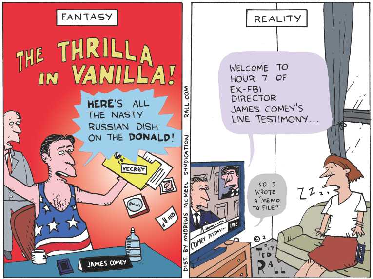 Political/Editorial Cartoon by Ted Rall on Investigations Slam DC