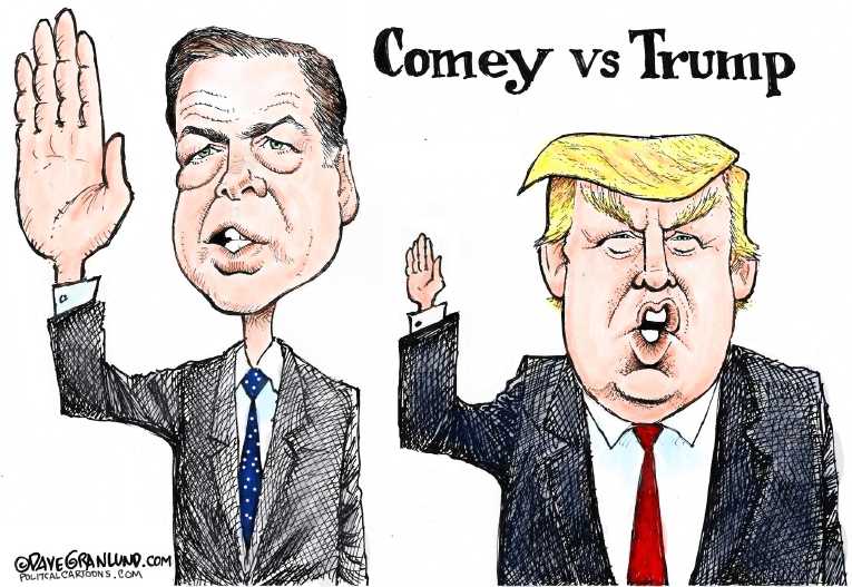 Political/Editorial Cartoon by Dave Granlund on Investigations Slam DC