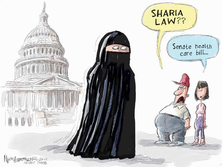 Political/Editorial Cartoon by Nick Anderson, Houston Chronicle on In Other News