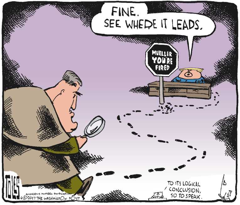 Political/Editorial Cartoon by Tom Toles, Washington Post on Trump Contemplating More Changes