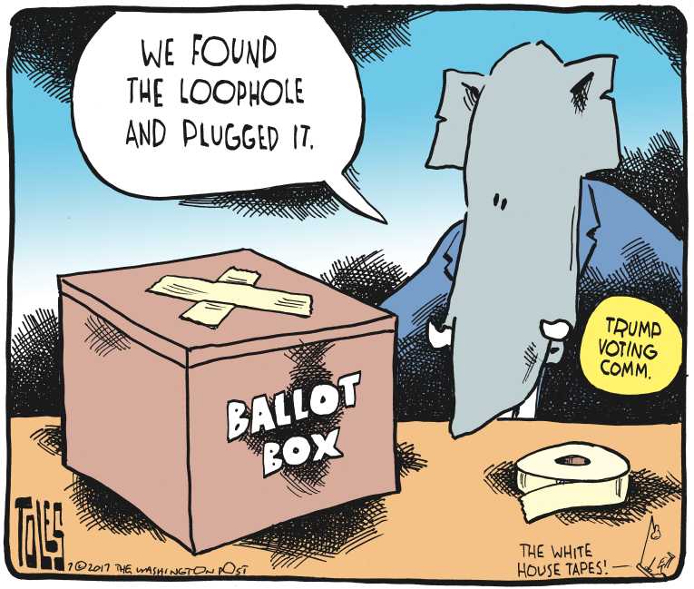 Political/Editorial Cartoon by Tom Toles, Washington Post on Trump Delivering on Promises