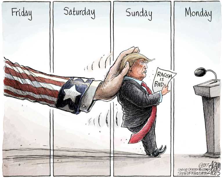 Political/Editorial Cartoon by Adam Zyglis, The Buffalo News on Nazi Rally Turns Violent