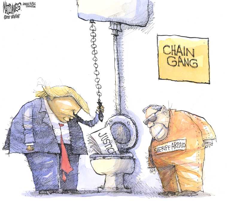 Political/Editorial Cartoon by Matt Davies, Journal News on Trump Pardons Racist Sheriff