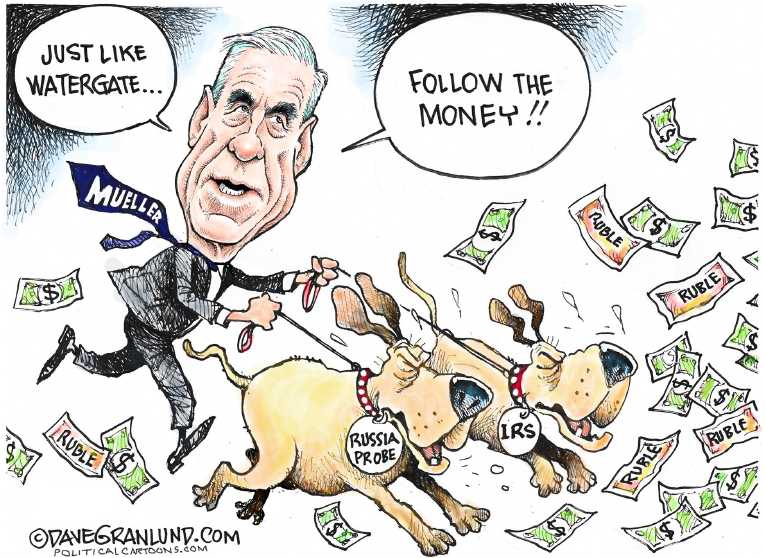 Political/Editorial Cartoon by Dave Granlund on In Other News