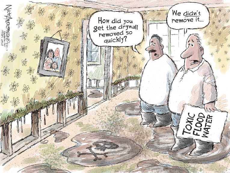 Political/Editorial Cartoon by Nick Anderson, Houston Chronicle on In Other News