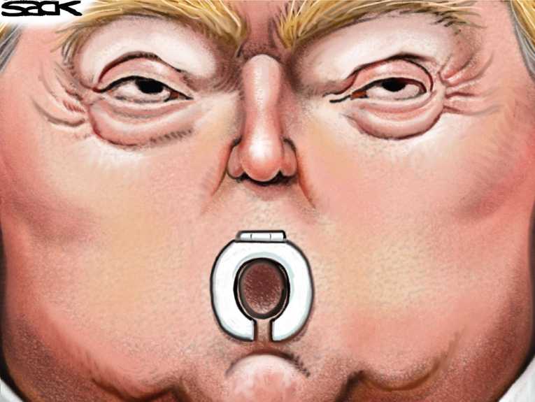 Political/Editorial Cartoon by Steve Sack, Minneapolis Star Tribune on Shitstorm Impedes DACA Solution