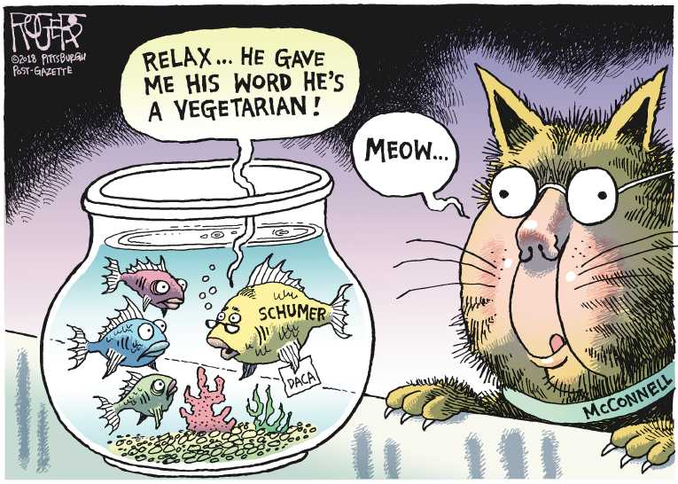 Political/Editorial Cartoon by Rob Rogers, The Pittsburgh Post-Gazette on In Other News