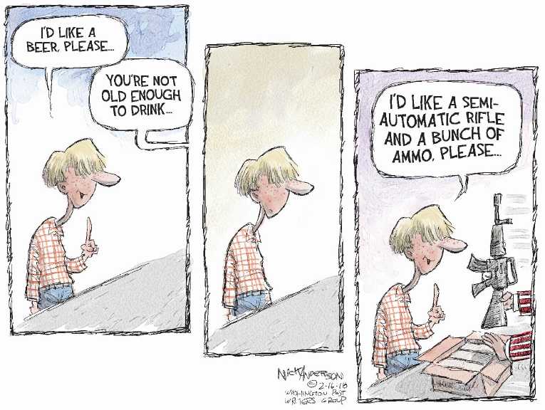 Political/Editorial Cartoon by Nick Anderson, Houston Chronicle on In Other News
