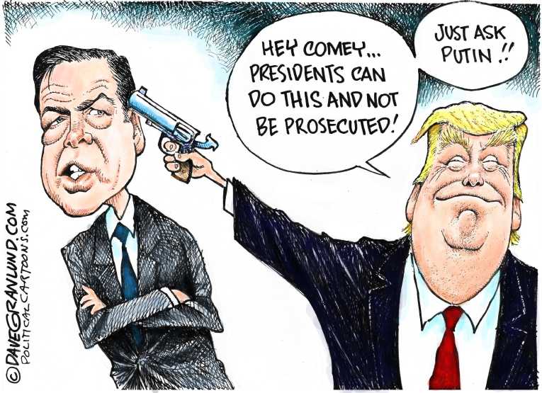 Political/Editorial Cartoon by Dave Granlund on “President Can Pardon Himself”