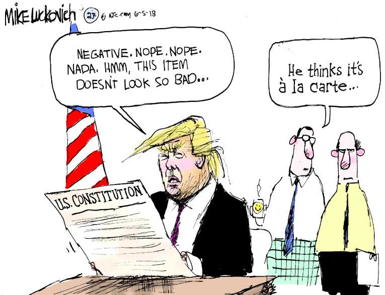 Political/Editorial Cartoon by Mike Luckovich, Atlanta Journal-Constitution on “President Can Pardon Himself”
