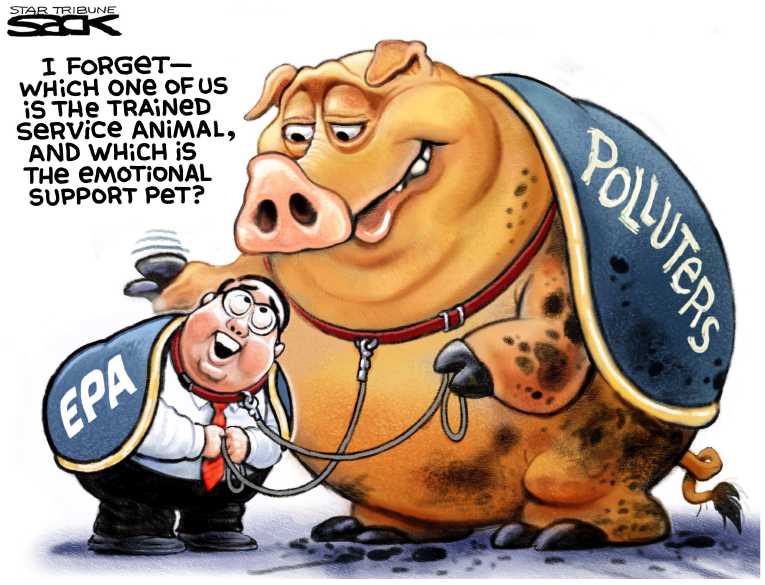 Political/Editorial Cartoon by Steve Sack, Minneapolis Star Tribune on Record Die-Off in Florida