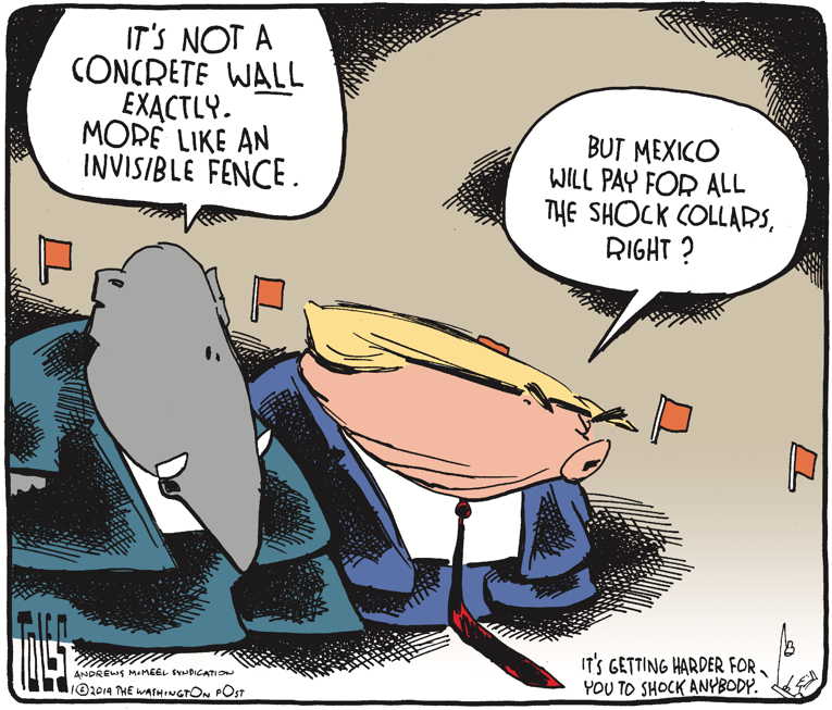 Political/Editorial Cartoon by Tom Toles, Washington Post on Trump Firm on Wall
