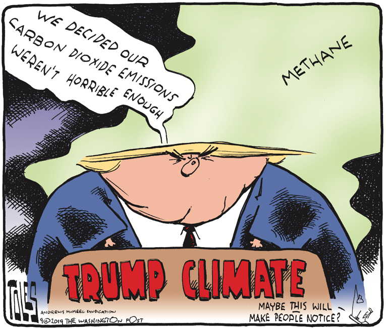 Political/Editorial Cartoon by Tom Toles, Washington Post on President Acts on Environment