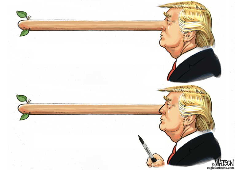 Political/Editorial Cartoon by RJ Matson, Cagle Cartoons on President Takes Bold Action