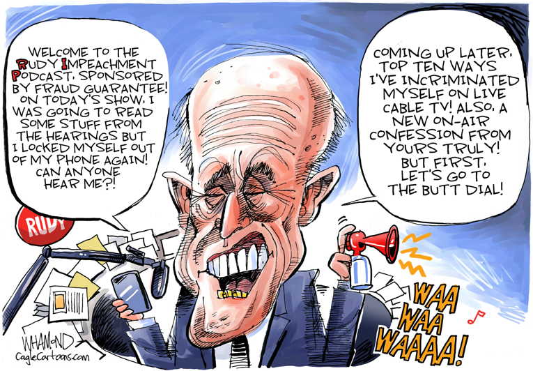 Political/Editorial Cartoon by on Trump Denies the Obvious