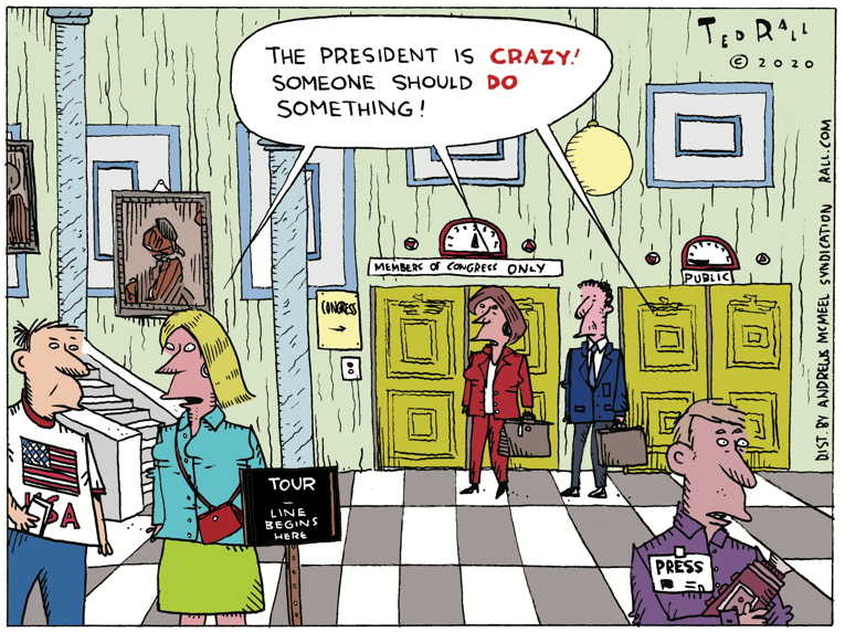 Political/Editorial Cartoon by Ted Rall on Trump Rallies Hit Home