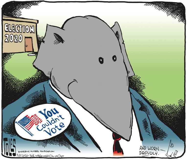 Political/Editorial Cartoon by Tom Toles, Washington Post on In Other News