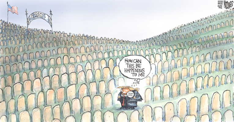 Political/Editorial Cartoon by Matt Davies, Journal News on Trump Lauds Pandemic Response