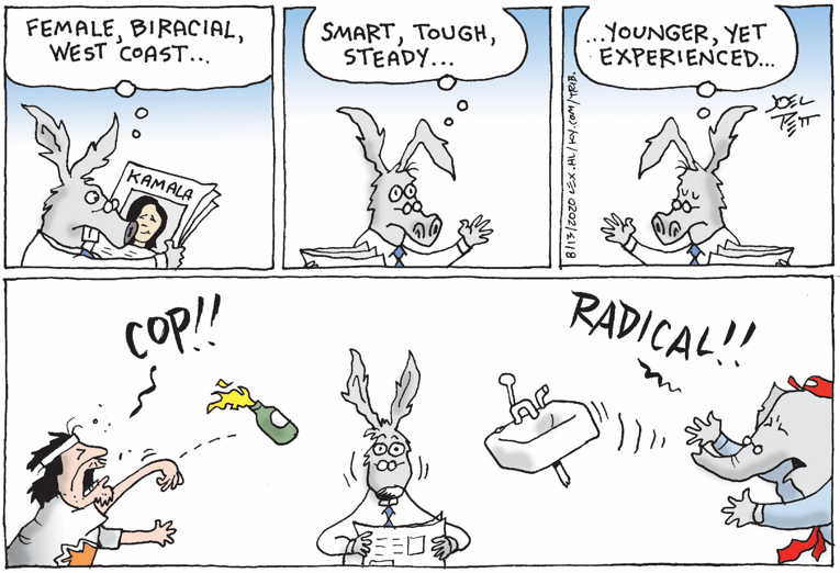 Political/Editorial Cartoon by Joel Pett, Lexington Herald-Leader, CWS/CartoonArts Intl. on Biden Picks Kamala Harris