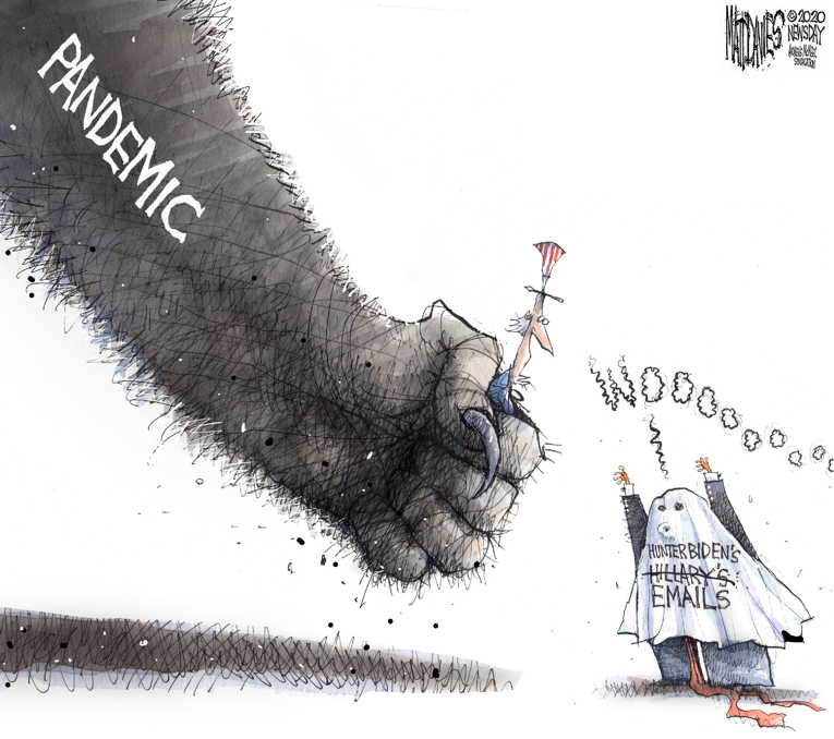Political/Editorial Cartoon by Matt Davies, Journal News on Trump Campaign Embraces Irony