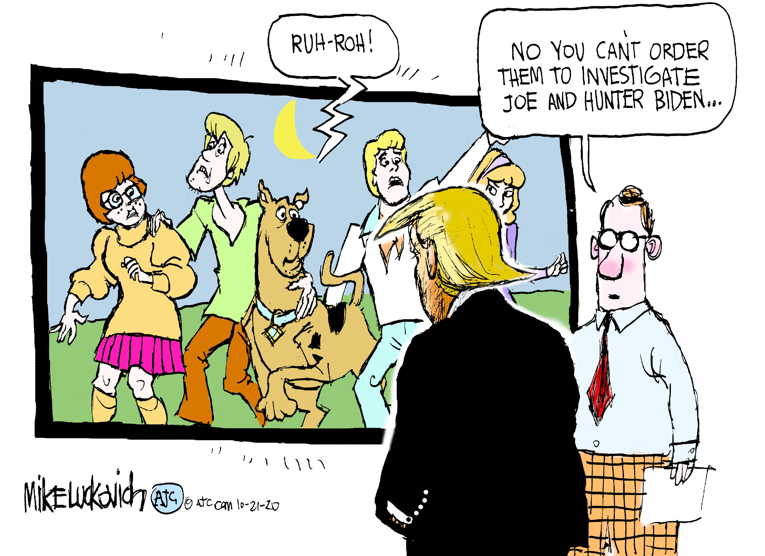 Political/Editorial Cartoon by Mike Luckovich, Atlanta Journal-Constitution on Trump Campaign Embraces Irony