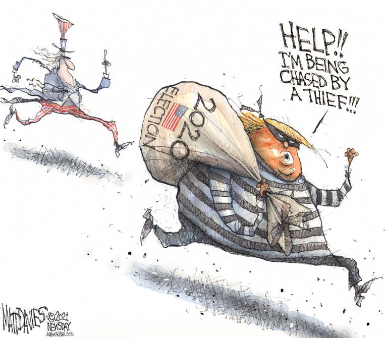 Political/Editorial Cartoon by Matt Davies, Journal News on Trump: I Won in a Landslide
