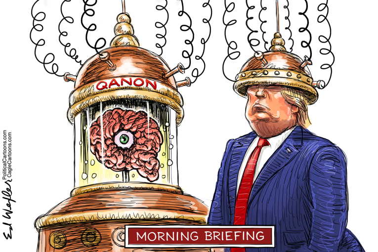 Political/Editorial Cartoon by Ed Wexler, PoliticalCartoons.com on Trump: I Won in a Landslide