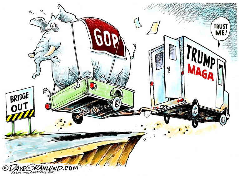Political/Editorial Cartoon by Dave Whamond, Canada, PoliticalCartoons.com on Trump: I Won in a Landslide