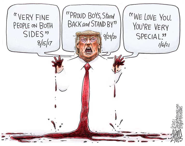Political/Editorial Cartoon by Adam Zyglis, The Buffalo News on Capitol Building Attacked