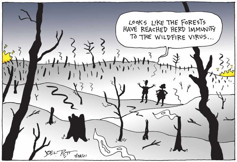 Political/Editorial Cartoon by Joel Pett, Lexington Herald-Leader, CWS/CartoonArts Intl. on In Other News