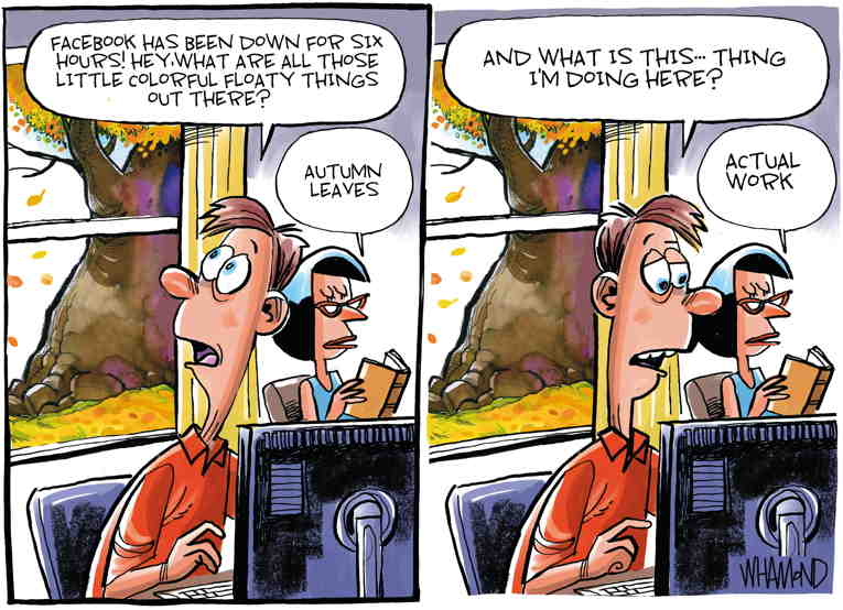 Political/Editorial Cartoon by Dave Whamond, Canada, PoliticalCartoons.com on Facebook Goes Down