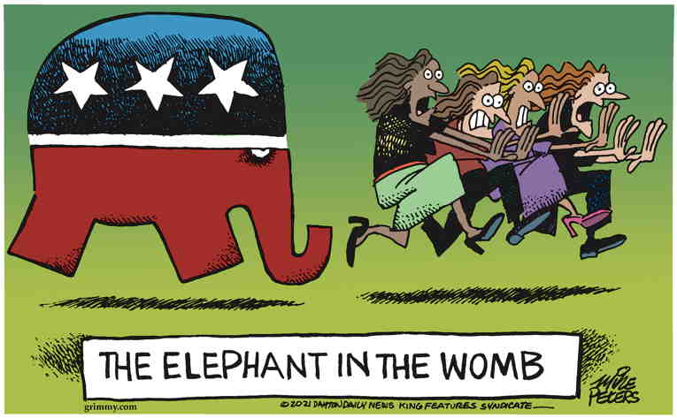 Political/Editorial Cartoon by Mike Peters, Dayton Daily News on Party Battles Escalate
