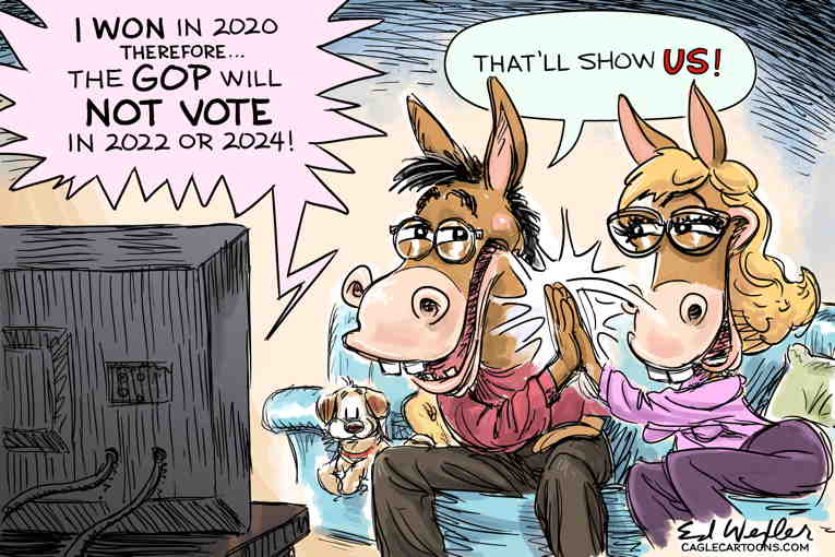 Political/Editorial Cartoon by Ed Wexler, PoliticalCartoons.com on In Other News