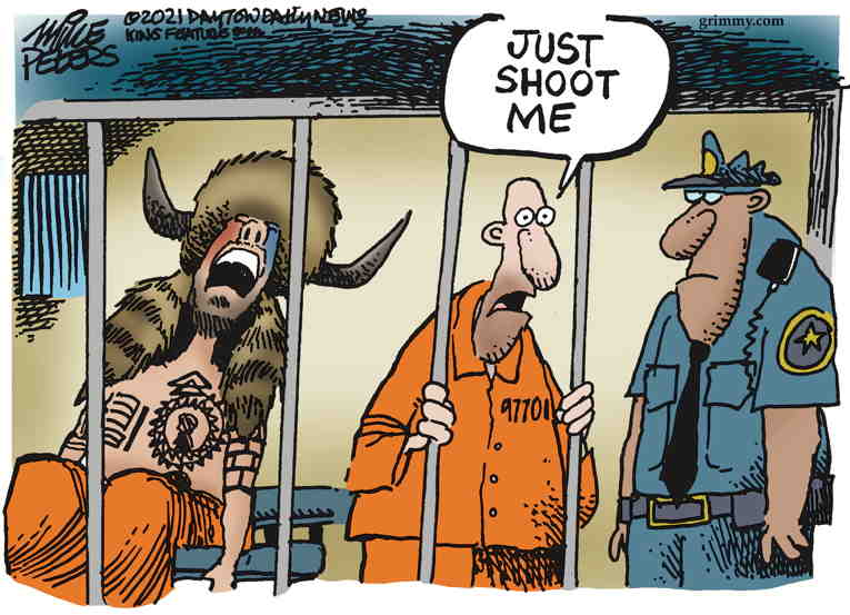Political/Editorial Cartoon by Mike Peters, Dayton Daily News on In Other News
