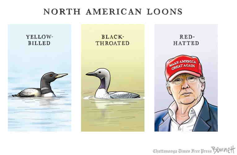 Political/Editorial Cartoon by Clay Bennett, Chattanooga Times Free Press on In Other News