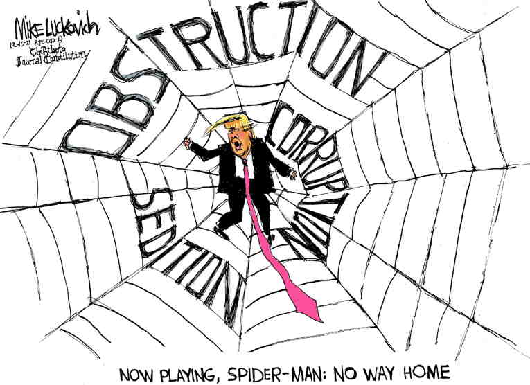 Political/Editorial Cartoon by Mike Luckovich, Atlanta Journal-Constitution on Legal Setbacks for Trump